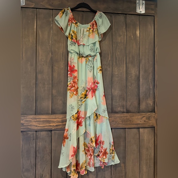 Express Dresses & Skirts - Express Floral Maxi Dress in Mint Green